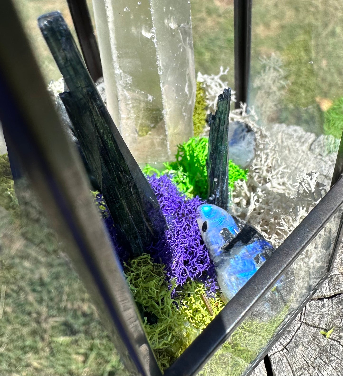 Vivianite, Quartz, Indian Moonstone terrarium