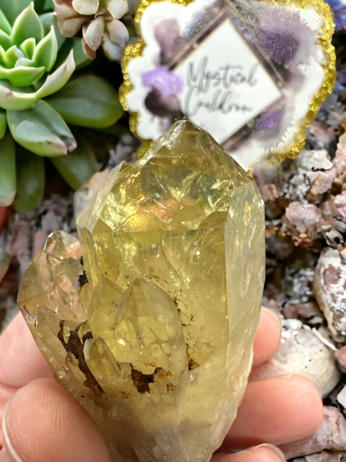 Citrine Cluster w/ rainbows
