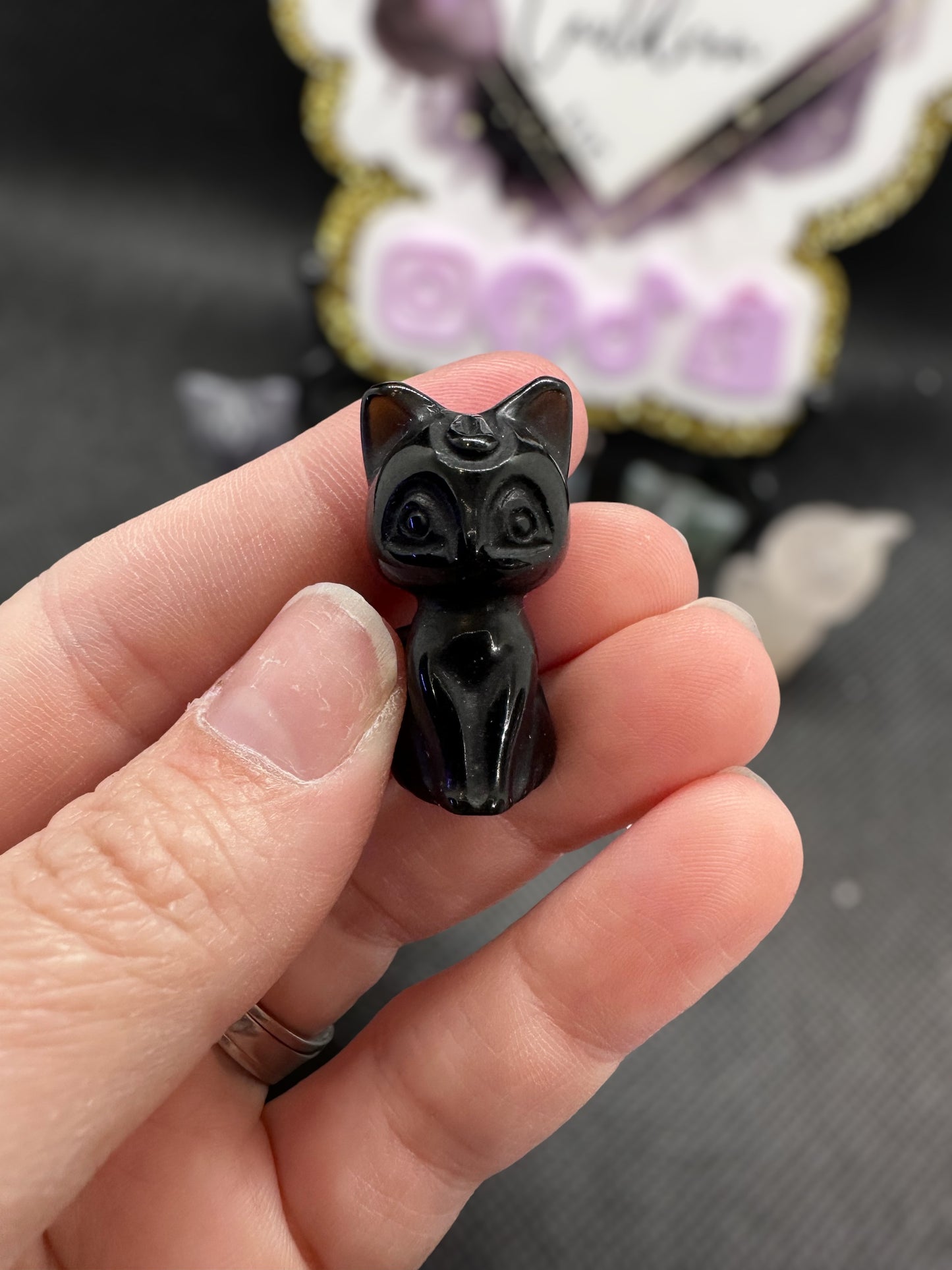 Mini cat