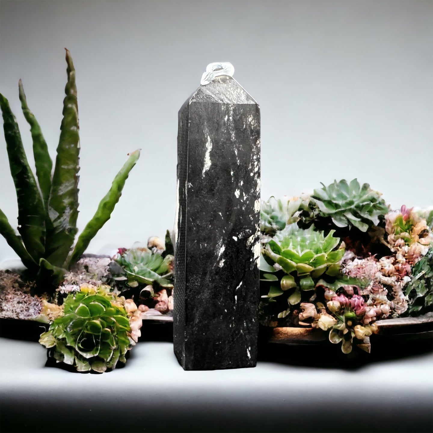 Shungite Point