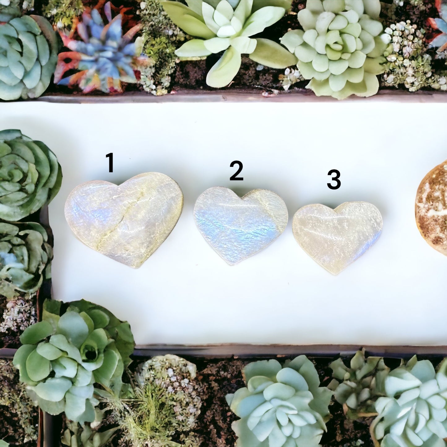 Moon Stone Heart
