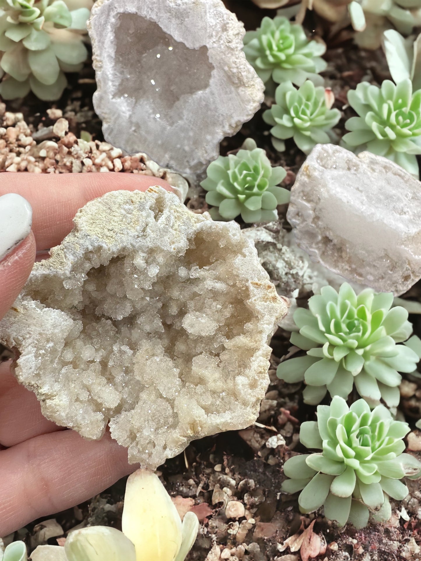 Mexico geode