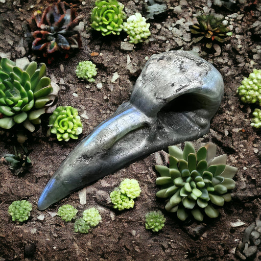 Medium Labradorite Raven Skull