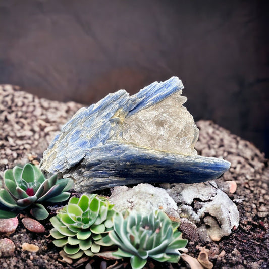 Kyanite Specimen