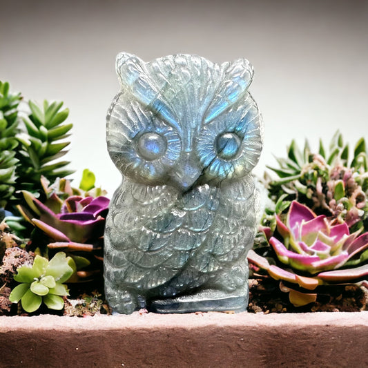 Labradorite Owl