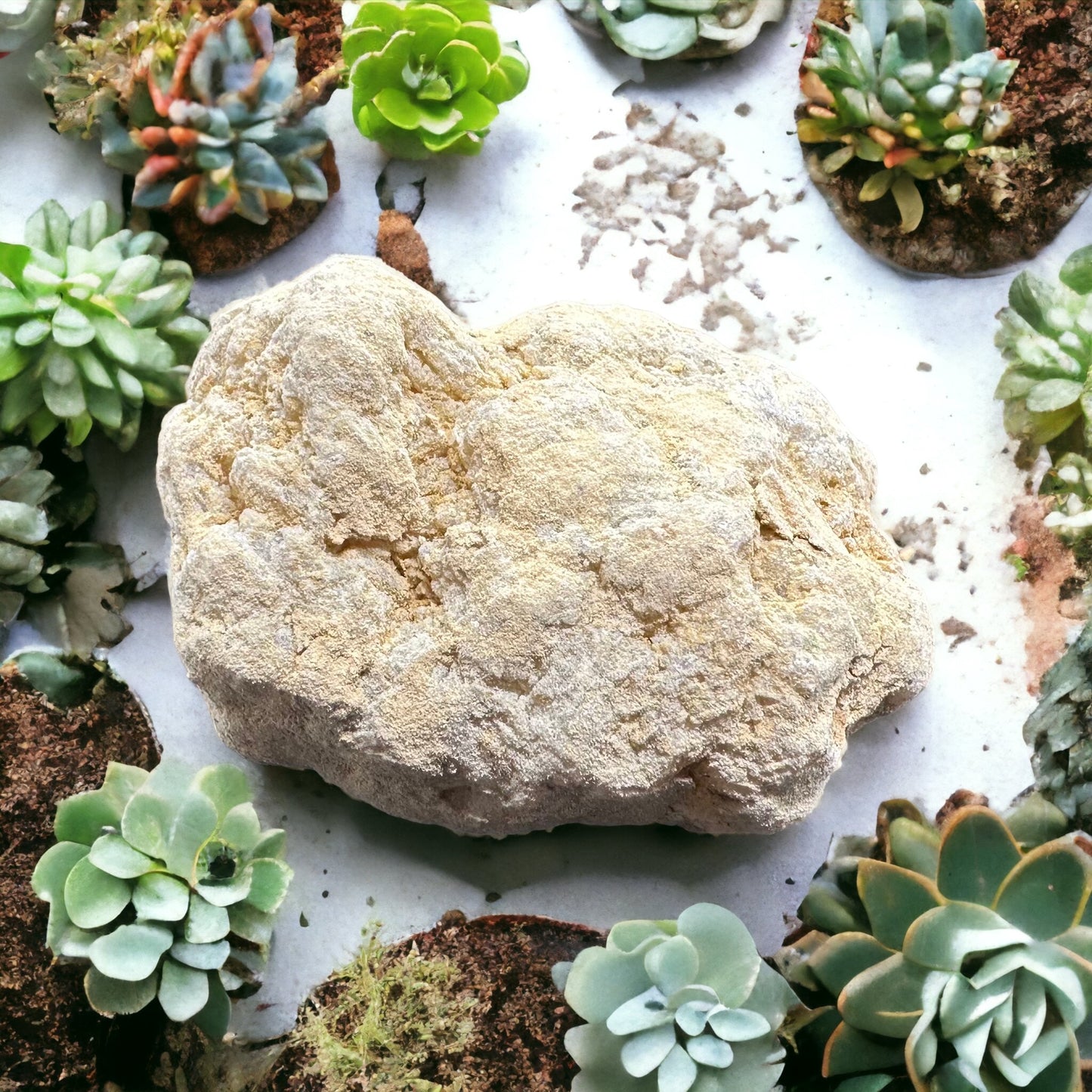 Small Unopened Geode