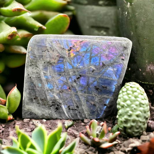 Labradorite Free Formb